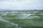 东北粮仓构建高效节水灌溉网 提高用水效率