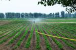 辽宁：５年内建设１０００万亩滴灌节水农业